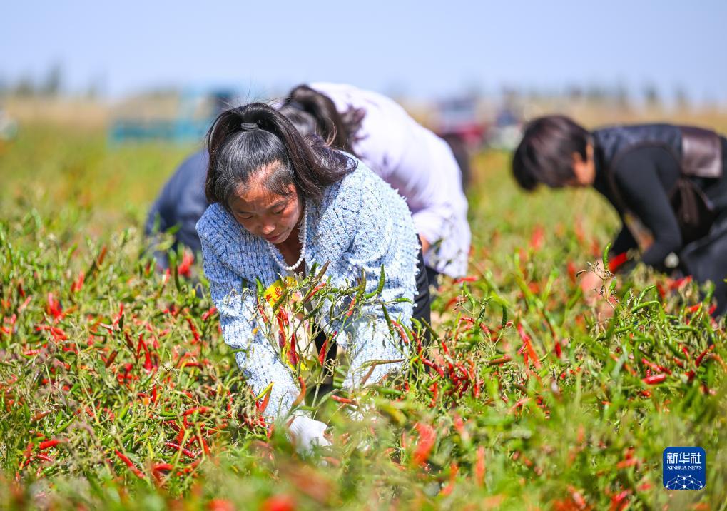 无敌炸金花下载